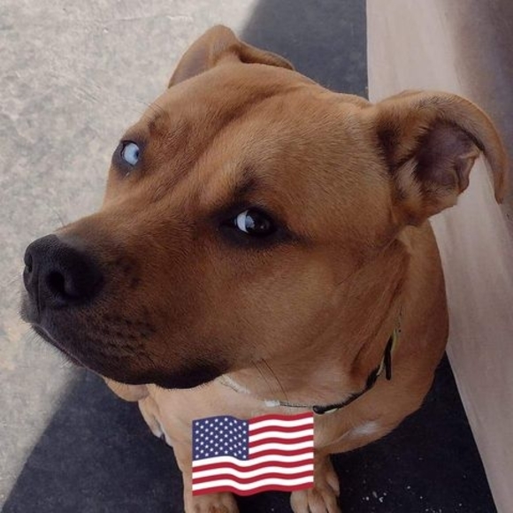 Meet your Posher, Michael - Picture 1 of 1